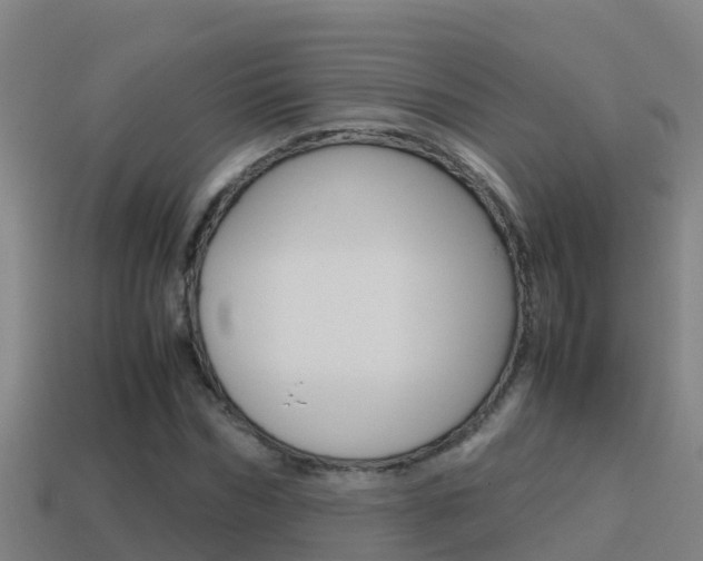 X0000114620970200910200958