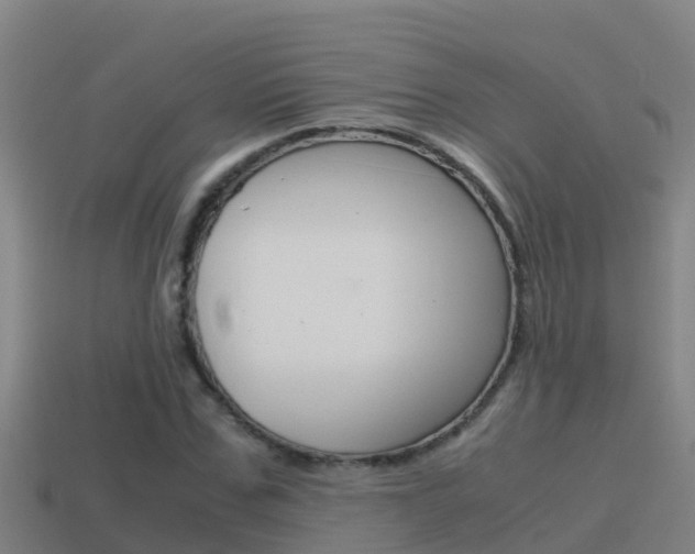 X0000114620971200910200958