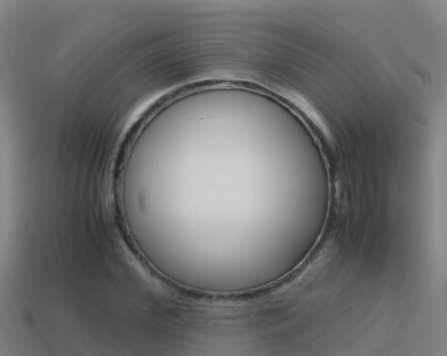 X0000114620972200910200958
