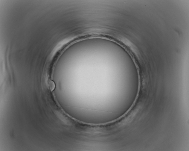 X0000114620973200910200958
