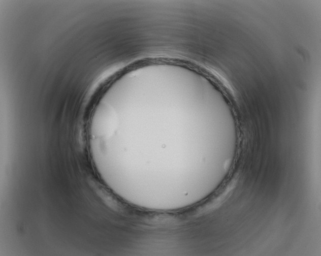 X0000114620974200910200958