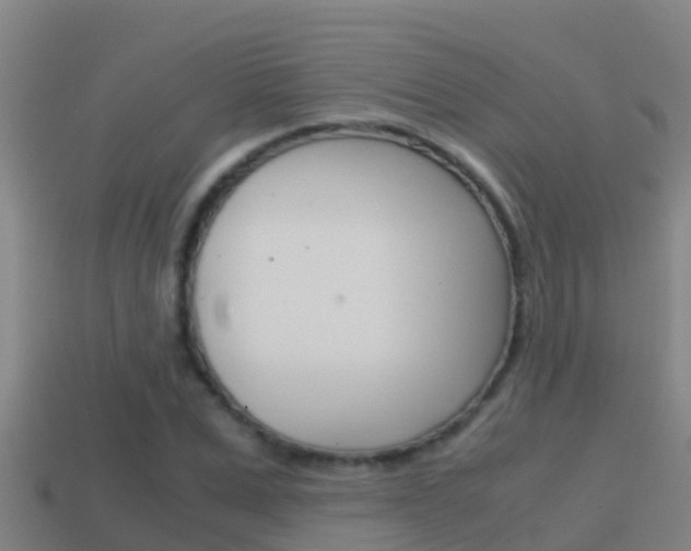X0000114620975200910200958