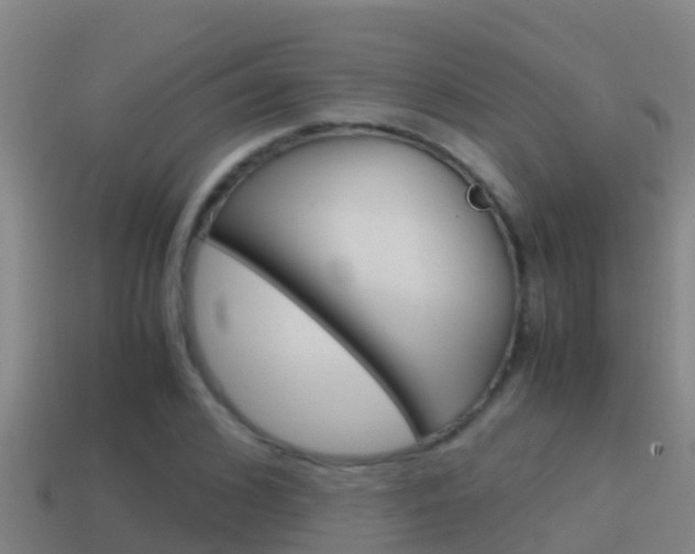X0000114620976200910200958