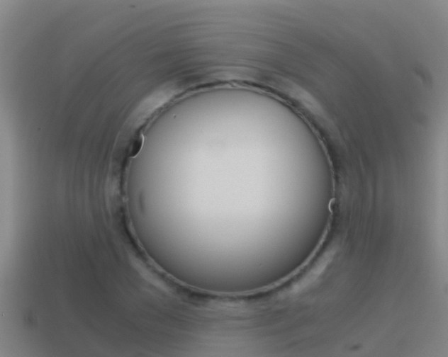 X0000114620977200910200958