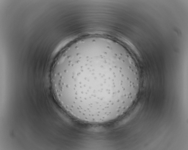 X0000114620978200910200958