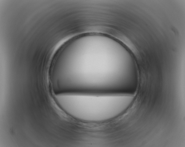 X0000114620980200910200958