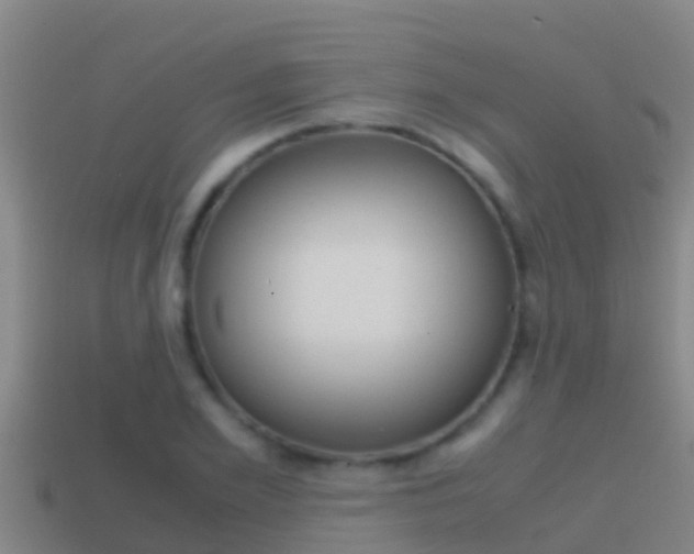 X0000114620981200910200958