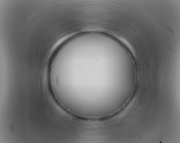 X0000114620983200910200958