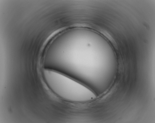 X0000114620984200910200958