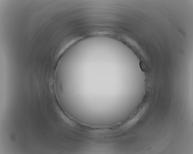 X0000114620985200910200958