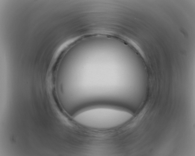 X0000114620987200910200958