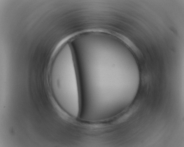 X0000114620988200910200958