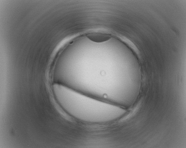 X0000114620989200910200958
