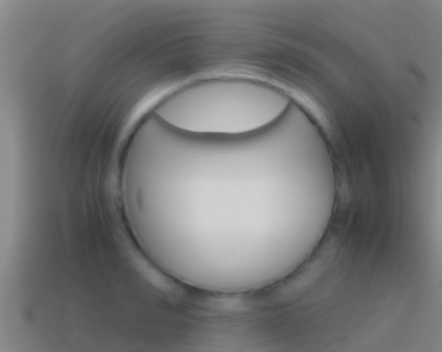 X0000114620990200910200958