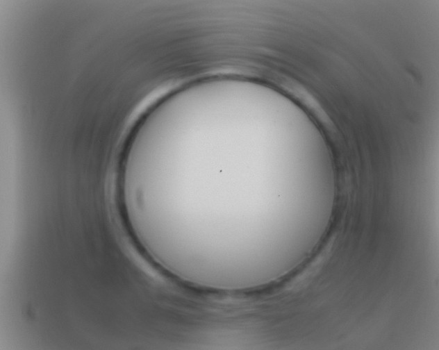 X0000114620991200910200958
