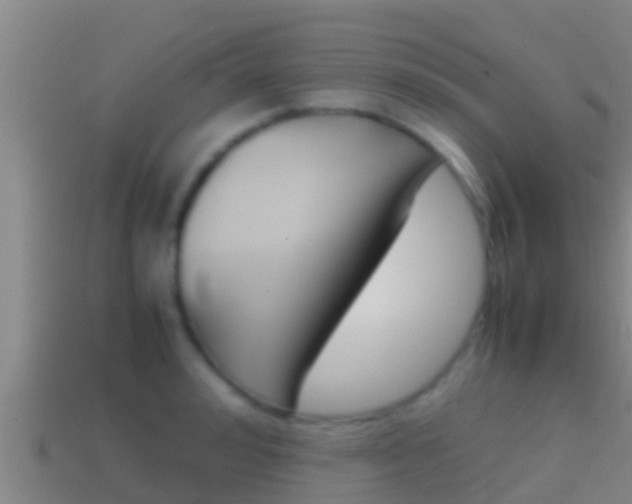 X0000114620992200910200958
