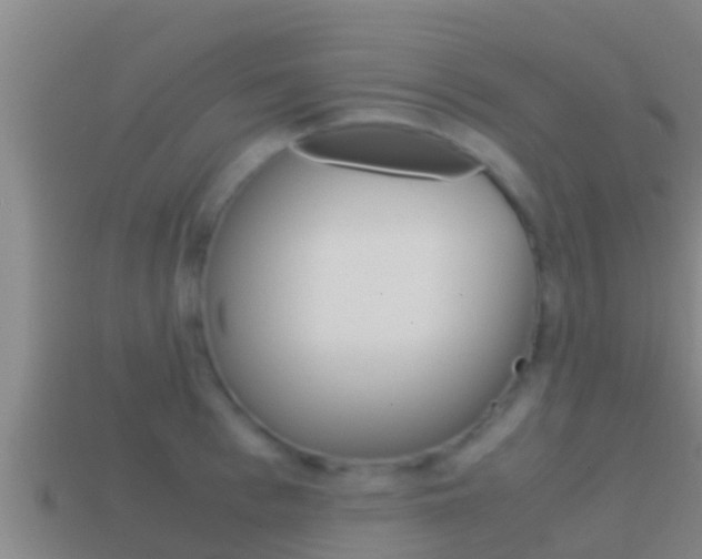X0000114620993200910200958