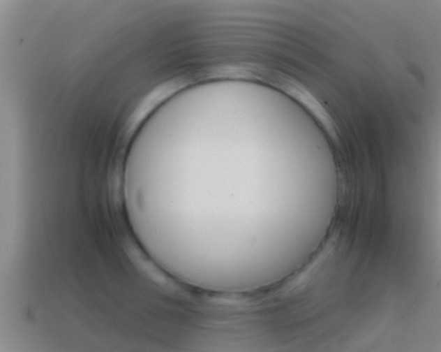 X0000114620994200910200958