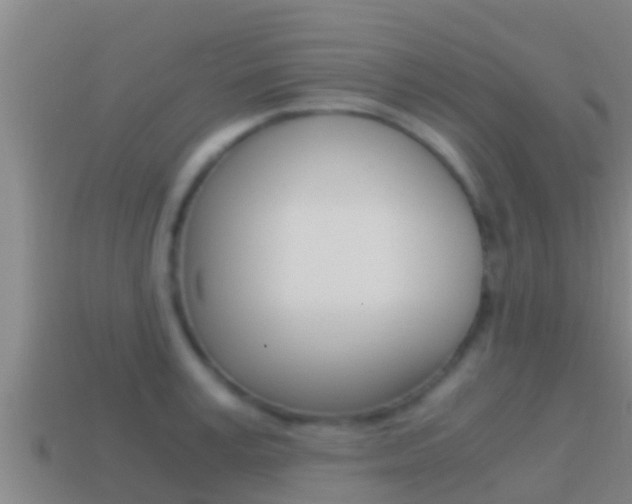 X0000114620995200910200958