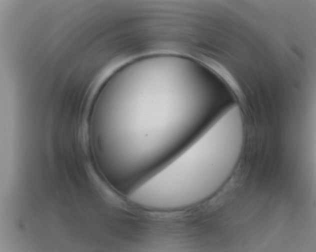 X0000114620996200910200958