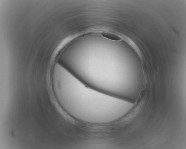X0000114620997200910200958