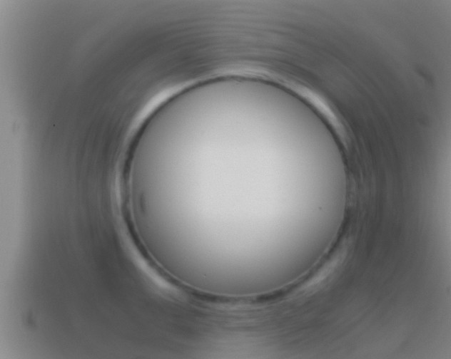X0000114620999200910200958
