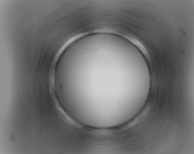 X0000114621000200910200958