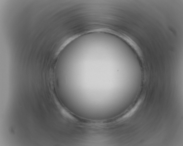X0000114621001200910200958