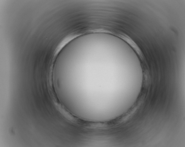 X0000114621002200910200958