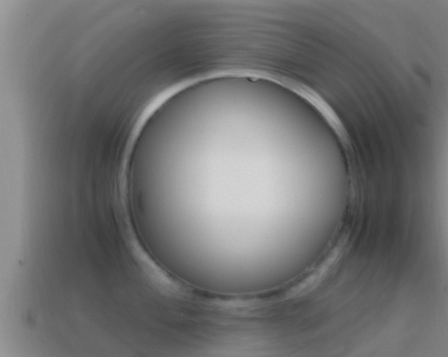 X0000114621004200910200958