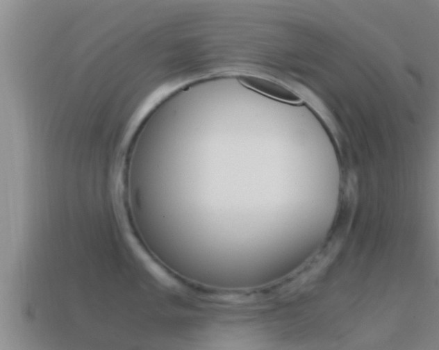 X0000114621005200910200958