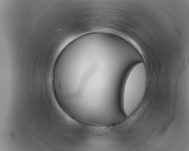 X0000114621007200910200958