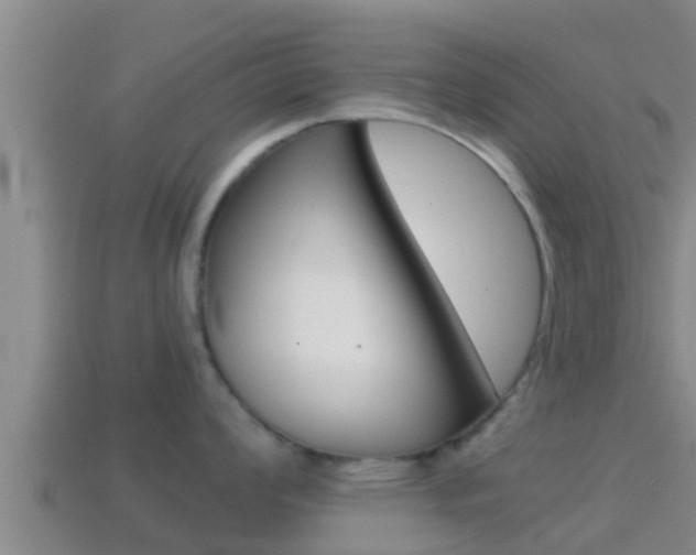 X0000114621008200910200958