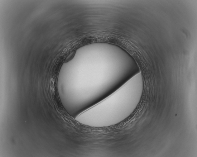 X0000114621010200910200957