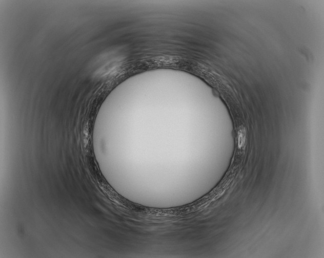 X0000114621011200910200957