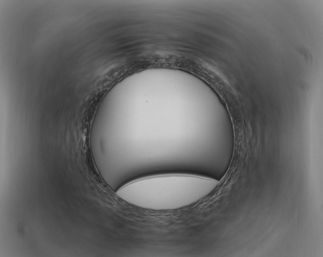 X0000114621013200910200957