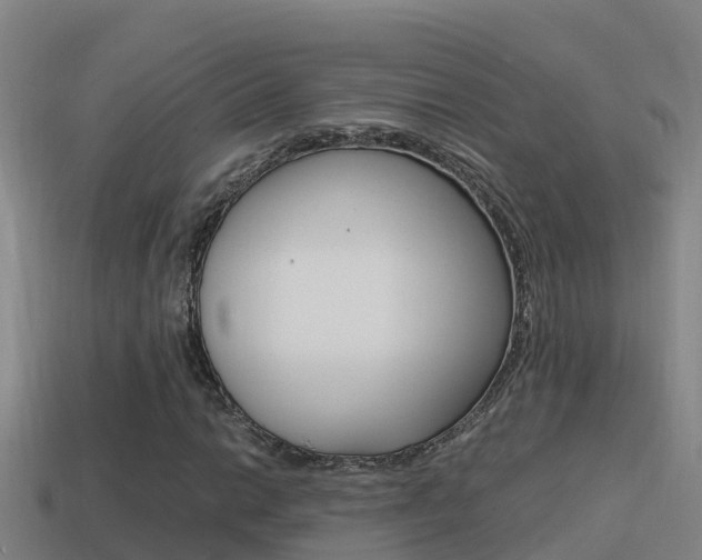 X0000114621014200910200957