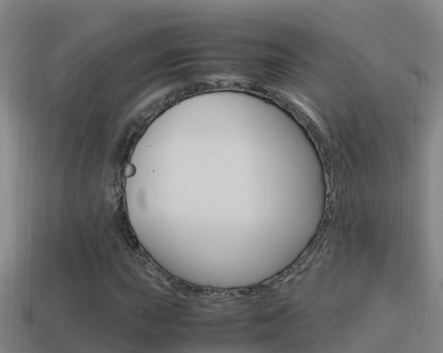 X0000114621015200910200957