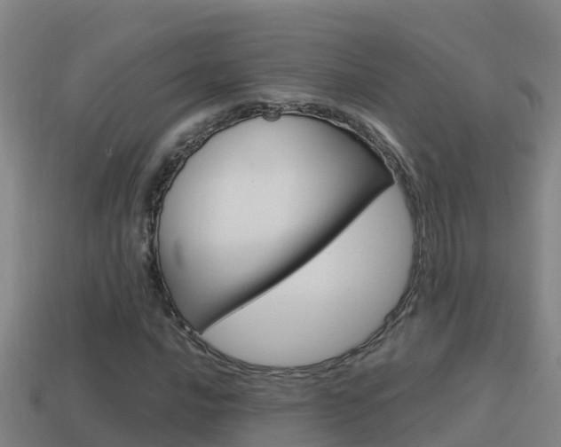 X0000114621016200910200957