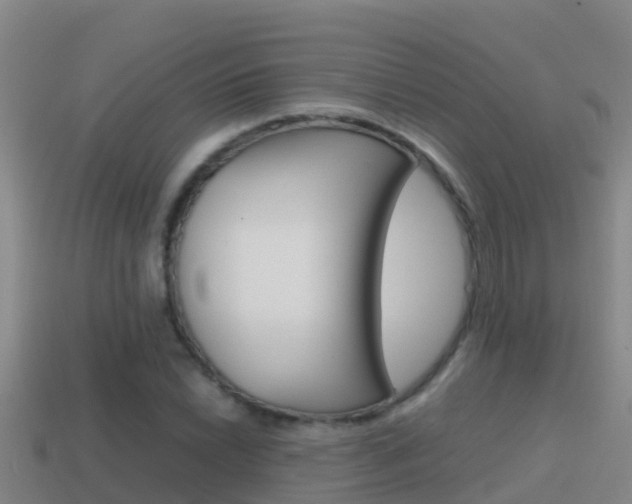 X0000114621022200910200957