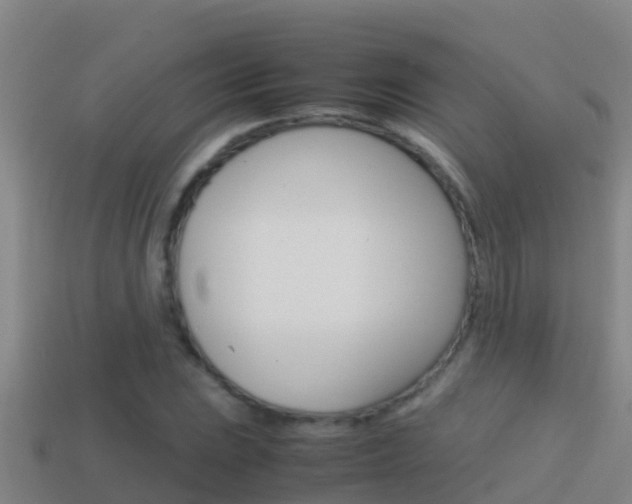 X0000114621023200910200957