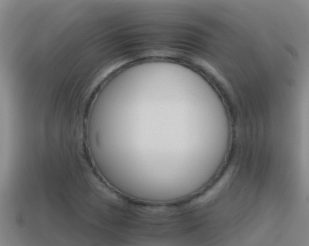 X0000114621025200910200957