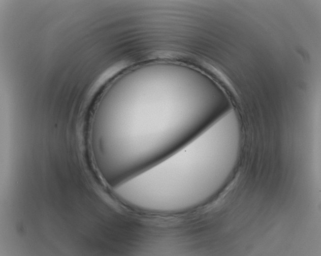 X0000114621026200910200957