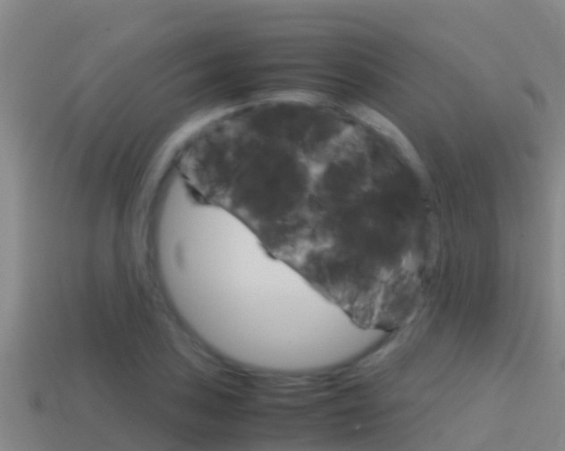 X0000114621027200910200957