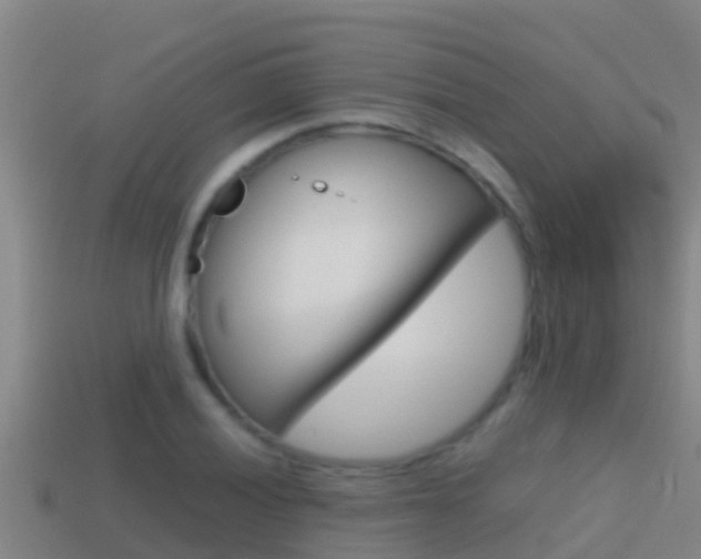 X0000114621028200910200957