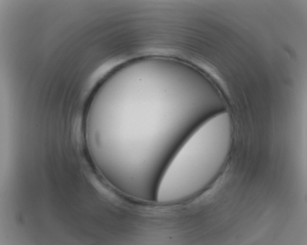 X0000114621030200910200957