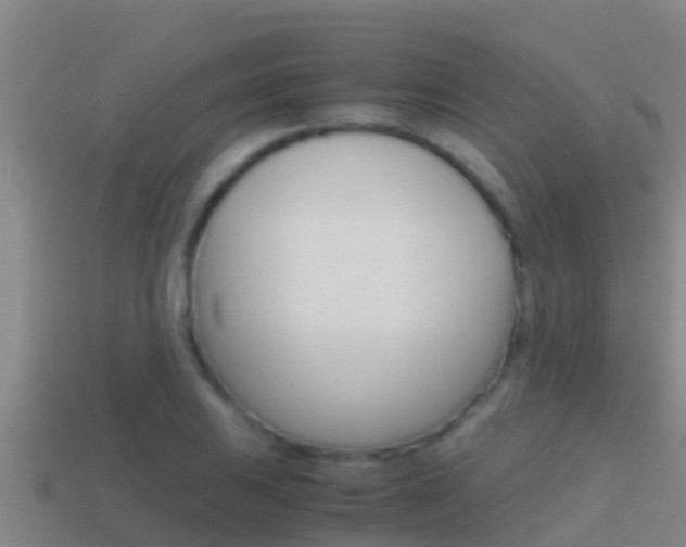 X0000114621031200910200957