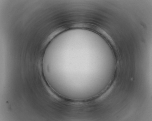 X0000114621033200910200957