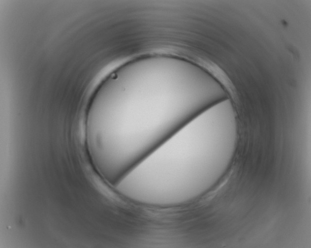 X0000114621036200910200957