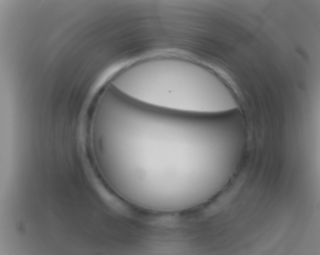 X0000114621038200910200957